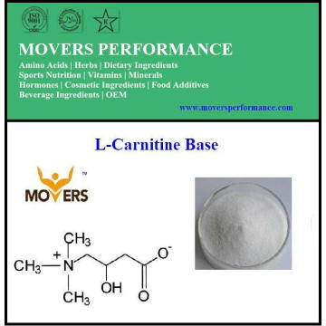 Base de L-Carnitina de Aminoácidos y Pérdida de Peso